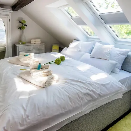 Alte Apotheke 아파트